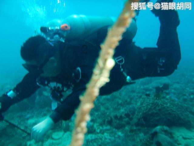 贷款买房逾期未还，法院上门强制腾房，被执行人妻子：并不知情